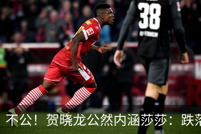 不公！贺晓龙公然内涵莎莎：跌落河北一姐之位，背后竟遭遇网络黑恶势力攻击