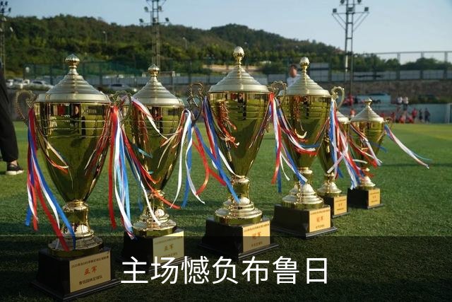 主场憾负布鲁日