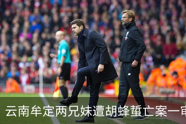 云南牟定两兄妹遭胡蜂蜇亡案一审开庭：被告当庭翻供作无罪辩护，检方建议量刑3至5年