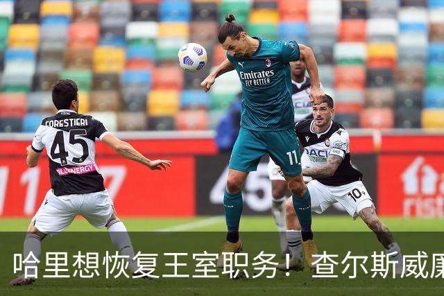 哈里想恢复王室职务！查尔斯威廉态度一致：不可能，绝不会恢复