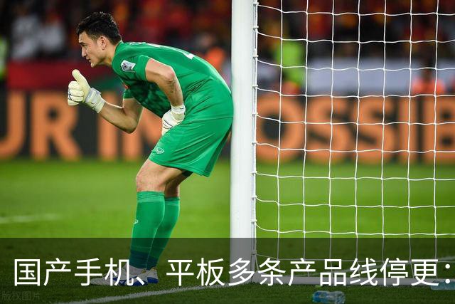 国产手机、平板多条产品线停更：发得越多 亏得越狠
