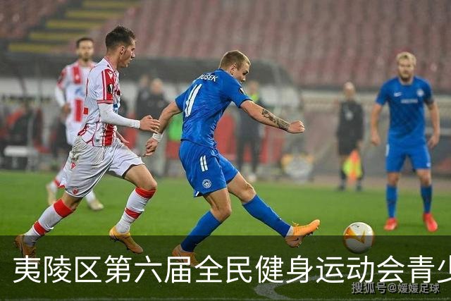 夷陵区第六届全民健身运动会青少年足球赛开赛