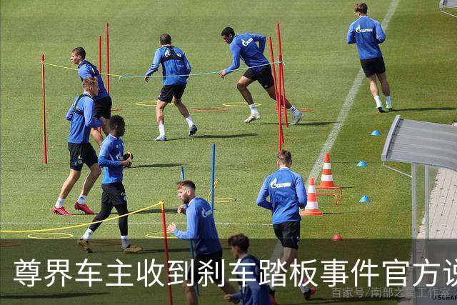 尊界车主收到刹车踏板事件官方说明：加压3000N未断裂损坏