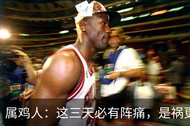属鸡人：这三天必有阵痛，是祸更是渡