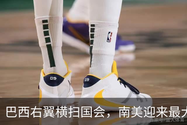 巴西右翼横扫国会，南美迎来最大右转潮