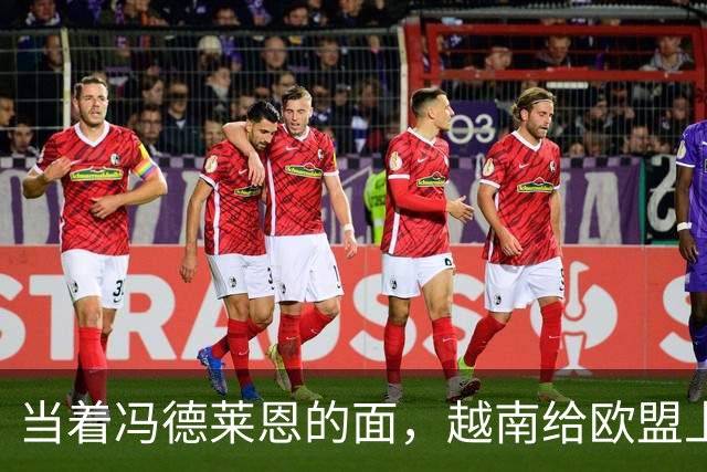 当着冯德莱恩的面，越南给欧盟上了一课：什么叫“中国力量”