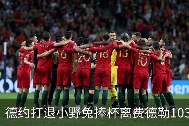 德约打退小野兔捧杯离费德勒103冠仅差一冠，辛纳因伤别离2026