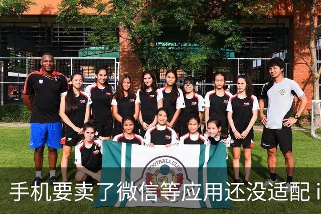 手机要卖了微信等应用还没适配 iPhone Duo被批 博主：几周内就会解决