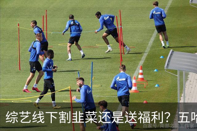 综艺线下割韭菜还是送福利？五哈南京两天六人到齐，答案自己品