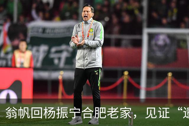 翁帆回杨振宁合肥老家，见证“遗产”落地，原来亡夫留了一手好牌