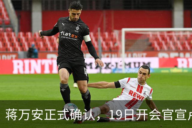 蒋万安正式确认，19日开会官宣卢秀燕出任竞总主委，系卢第三个主委！