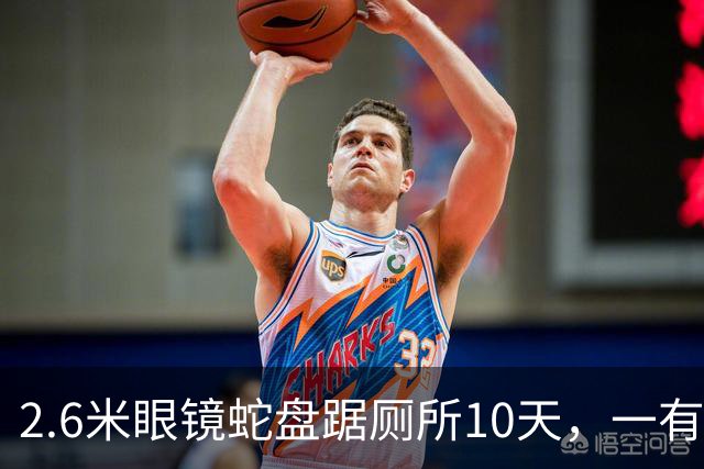 2.6米眼镜蛇盘踞厕所10天，一有动静就钻下水道，男子装监控蹲点6天“露头就秒”：蛇一出现就弹出提醒，配合消防成功抓获