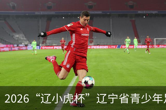 2026“辽小虎杯”辽宁省青少年足球精英赛暨全省足球青训中心秋季赛预选赛顺利落幕
