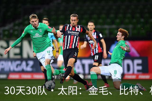 30天30队·太阳：金毛、比特、杜宾和二哈