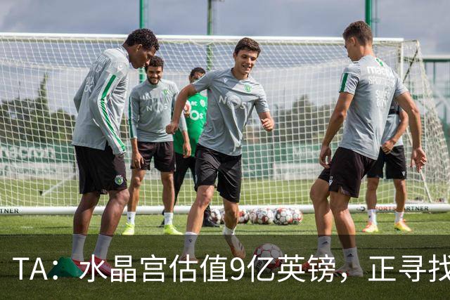 TA：水晶宫估值9亿英镑，正寻找投资推进新球场工程